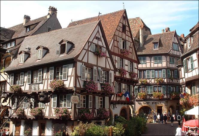 Gite Avec Piscine Chez Vero Breitenbach-Haut-Rhin Exterior photo