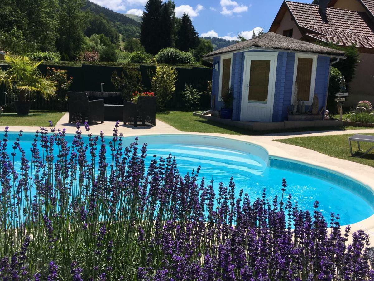Gite Avec Piscine Chez Vero Breitenbach-Haut-Rhin Exterior photo